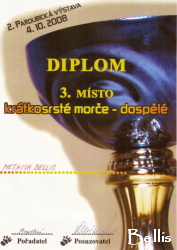 diplom