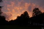 DSC_2779.jpg